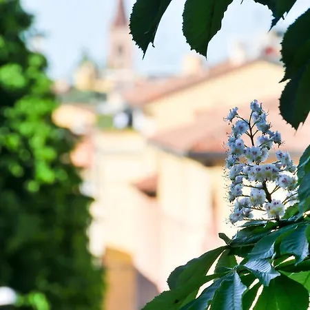 B&B Al Parco Giardini Margherita-2